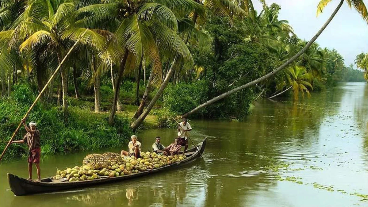 L'inde