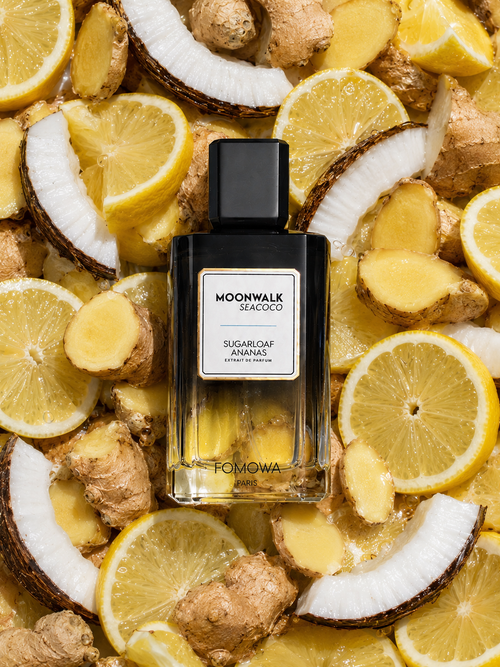 MOONWALK SEACOCO 🍋🫚🥥
